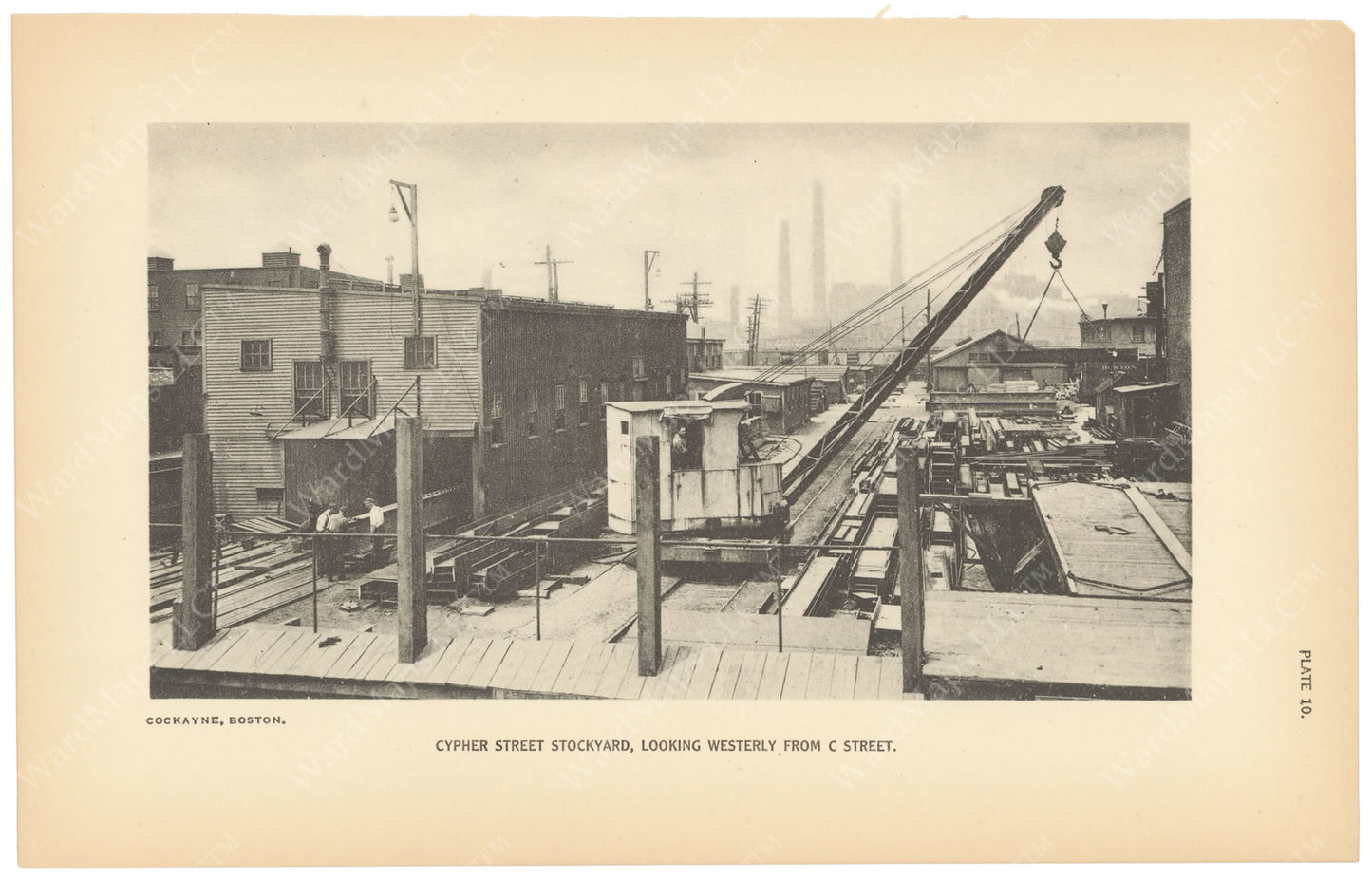 BTC Annual Report 23, 1917 Plate 10: Cypher Street Stockyard