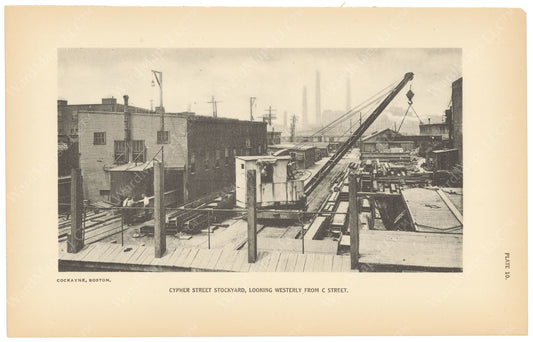 BTC Annual Report 23, 1917 Plate 10: Cypher Street Stockyard