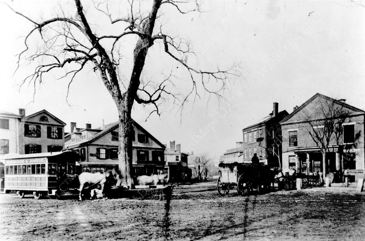 Harvard Square, Cambridge, Massachusetts Circa 1858